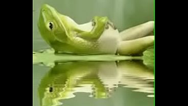 Video de v&eacute_rification