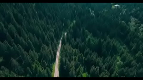 Canal rid&iacute_culo do YouTube