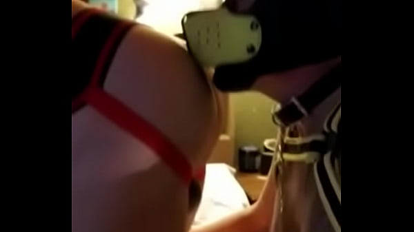 Pups Licking Ass 