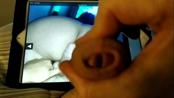 Cum and piss tribute for "Perrita Tragaleche" 