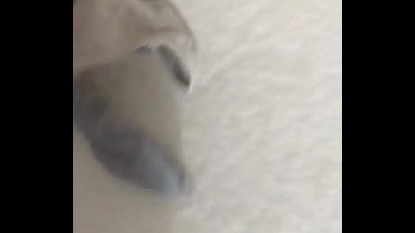 El mejor hilo que tiene mi jefa, buenas tangas 