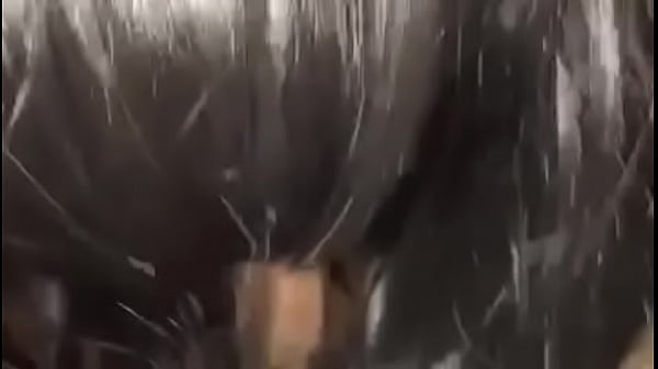 f4baa703-ae9e-492a-9c90-7fe72aefef0b