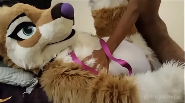 FreyaShibe Missionary