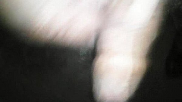 Nonton My Black. Dick. thumbnail