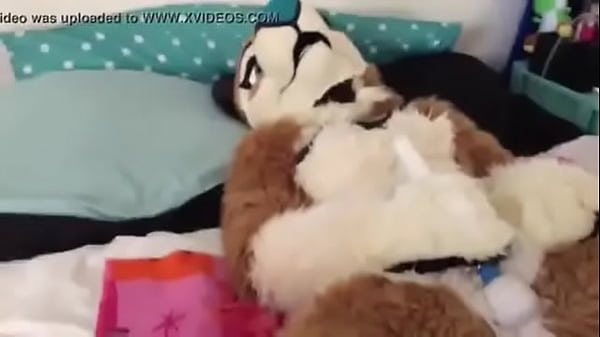 验证视频