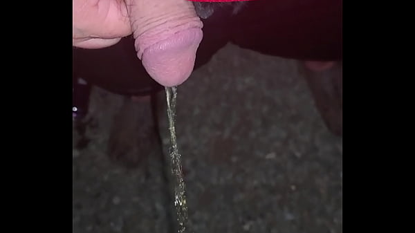 Play MP4 - pissing outside at in laws