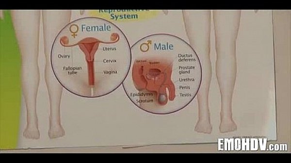 Nonton Emo Girl Gets Fucked 096 thumbnail