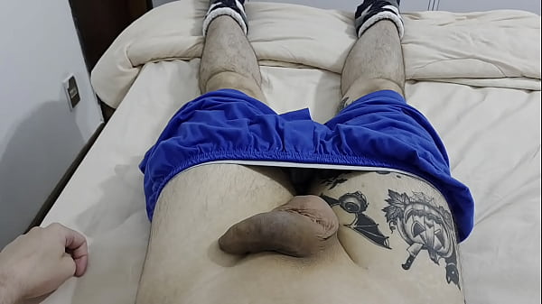 Um penis descansando a resting cock