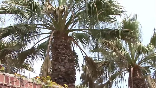 Nonton Tatum Pierce A Whore With Two Nice Tits Gets Her Pussy Penetrated thumbnail