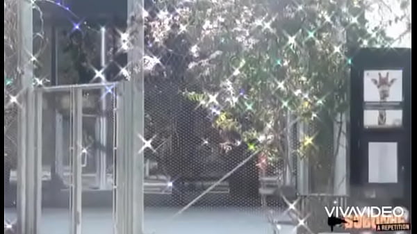 Khloe Breaks Snake Halloween thumbnail