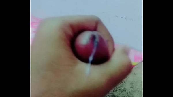 IMG 20171103 142457374