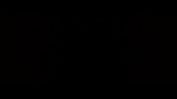 trim.B7A170ED-9385-4032-89CF-D2895E264E23.MOV