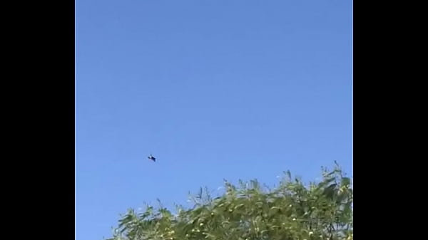 Tengo la mea pichula 