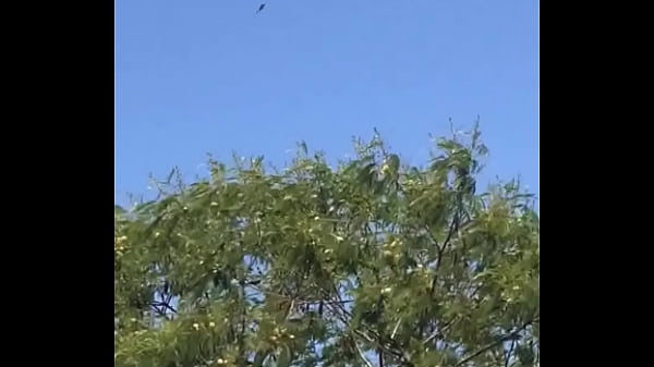 Tengo la mea pichula 