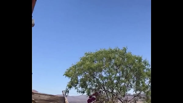 Tengo la mea pichula 