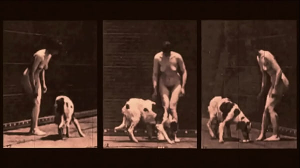 Dark Lantern Entertainment presents'Beauty And The Beast'