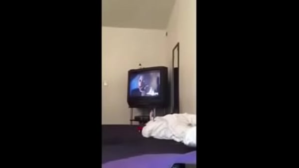 Comendo a namorada doamigo