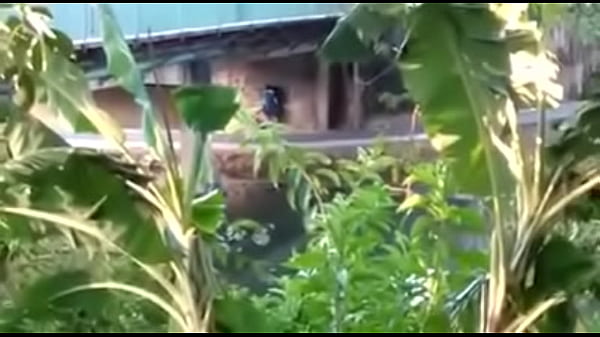 Como ser um lobinho transante 