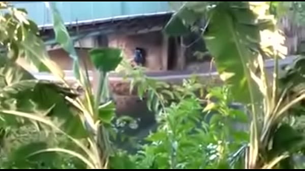 Play MP4 - Como Ser Um Lobinho Transante