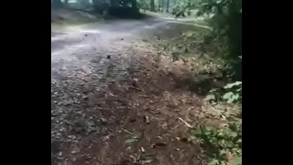 Play MP4 - Nature show