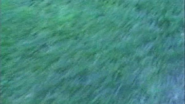 LBO - Mr Peepers Nastiest 04 - scene 1 