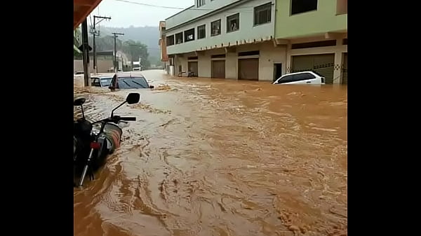 V&iacute_deo de verificaci&oacute_n