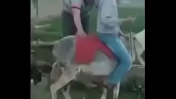 Nonton Horny thumbnail