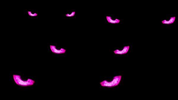 Villian - Wild Life PMV