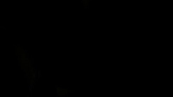 Amature MILF Fuck and Blow 