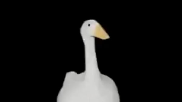 Giovanni giorgio is the coolest goose ever exist in universe who dance really cool 