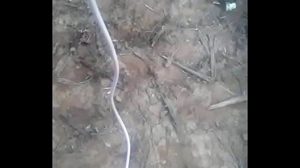 urso come sitio inteiro mijando