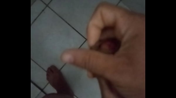 Evegaroro pela manha mais uma vez 