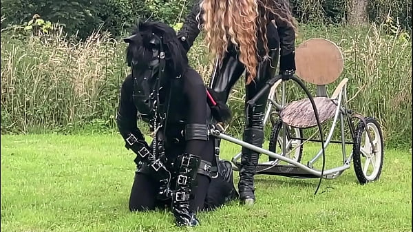 Play MP4 - 4-Day Ponyplay Training Compilation