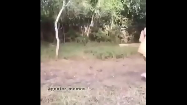 Play MP4 - Fundo do po&ccedil;o do Discord &num;1