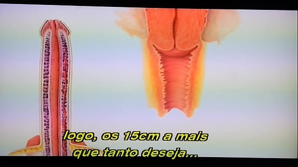 Educação_sexual com KatieMorgan