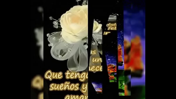 V&iacute_deo de verificaci&oacute_n