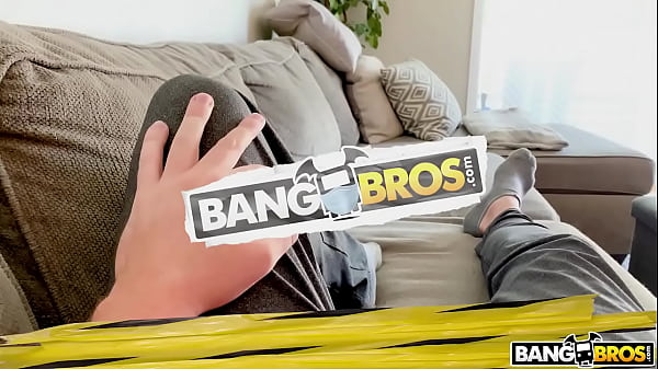 Quarantine Cock for Hime