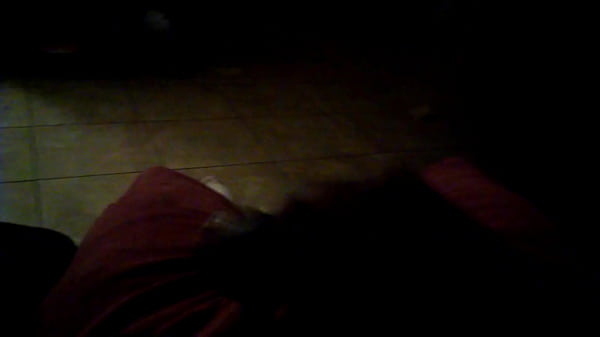 Play MP4 - VIDEO0005