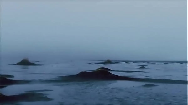 Girl looking around in a taxi and sees a dove in snow 
