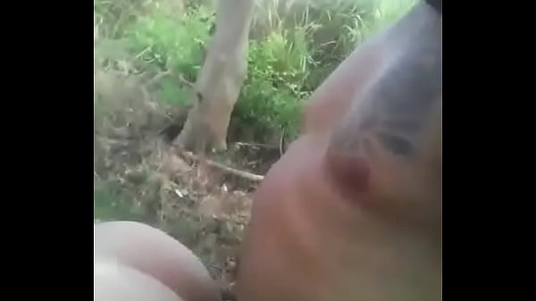 Play MP4 - coste&ntilde;o