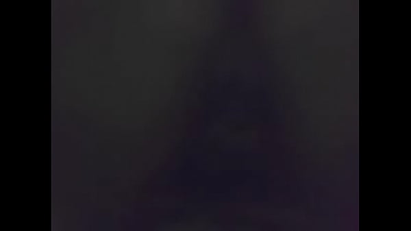 Phamelacolegiala Jarocha 2