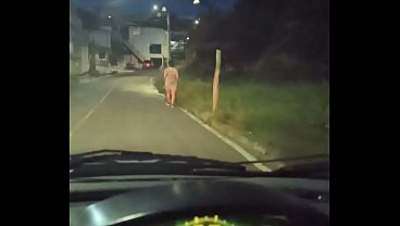 POV porno real callejero, recojo a linda latina en la calle y le puyo el culo