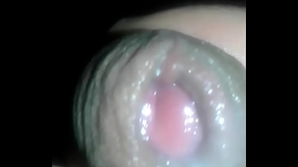 ni idea que tengo que poner aca 