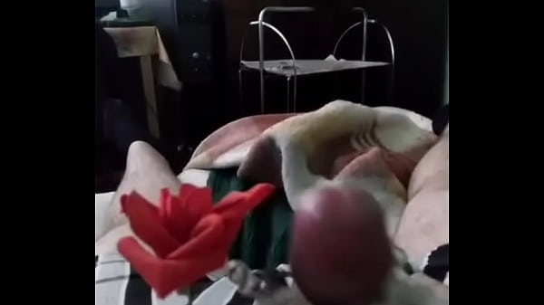 430673028 69120-49111979535.3772472 (1)