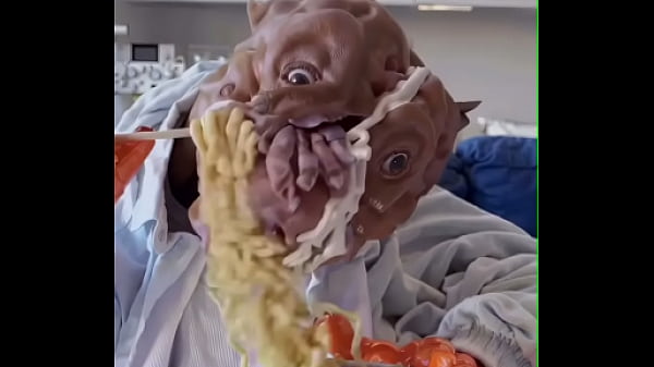 Look At This Cute Dog thumbnail