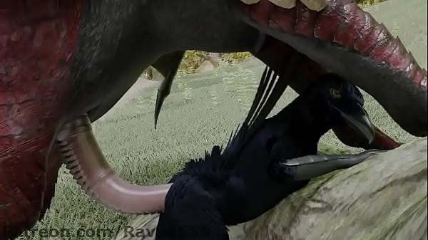 Raven anal annihilated by dragon
