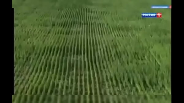 Видео для верификации 