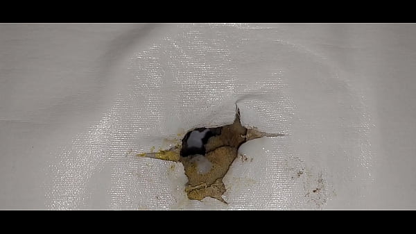 Play MP4 - I fuck the mattress with a condom&comma; I squirt the cum into her hole and lick the cum off the mattress&period;