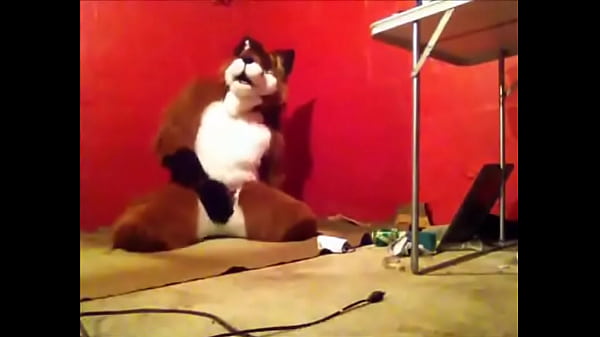 Foxy having some fun. 