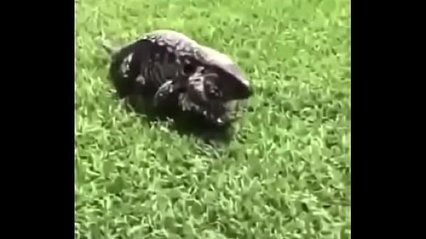 &eacute;crivez un titre diff&eacute;rent mais toujours pertinent